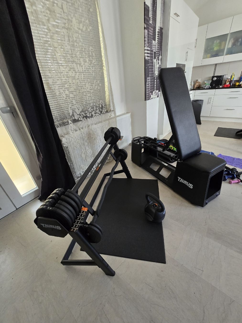 Taurus Hometrainer: Taurus Homegym komplett – Usato da Derendingen venduto da S.Skorbi 5