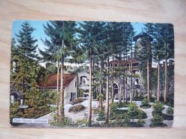 Ruine Birseck: Schlosshof, 117171