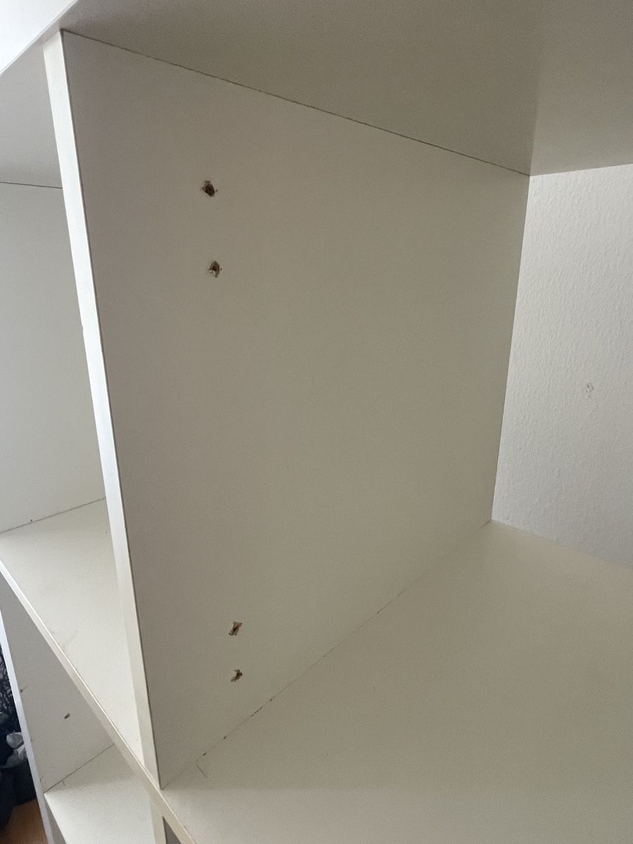 Ikea Scaffali: 4x4 Kallax-Regal – Usato da Bern venduto da sophiew 1