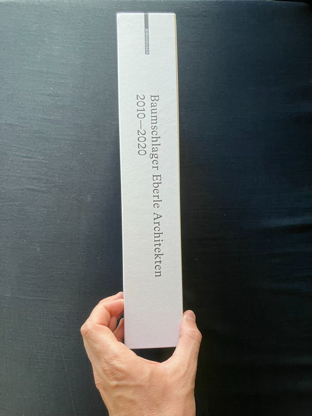 Libri: Architektur Buch Baumschlager Eberle Projekte 2010-2020 – Usato da Zürich venduto da adam899 1