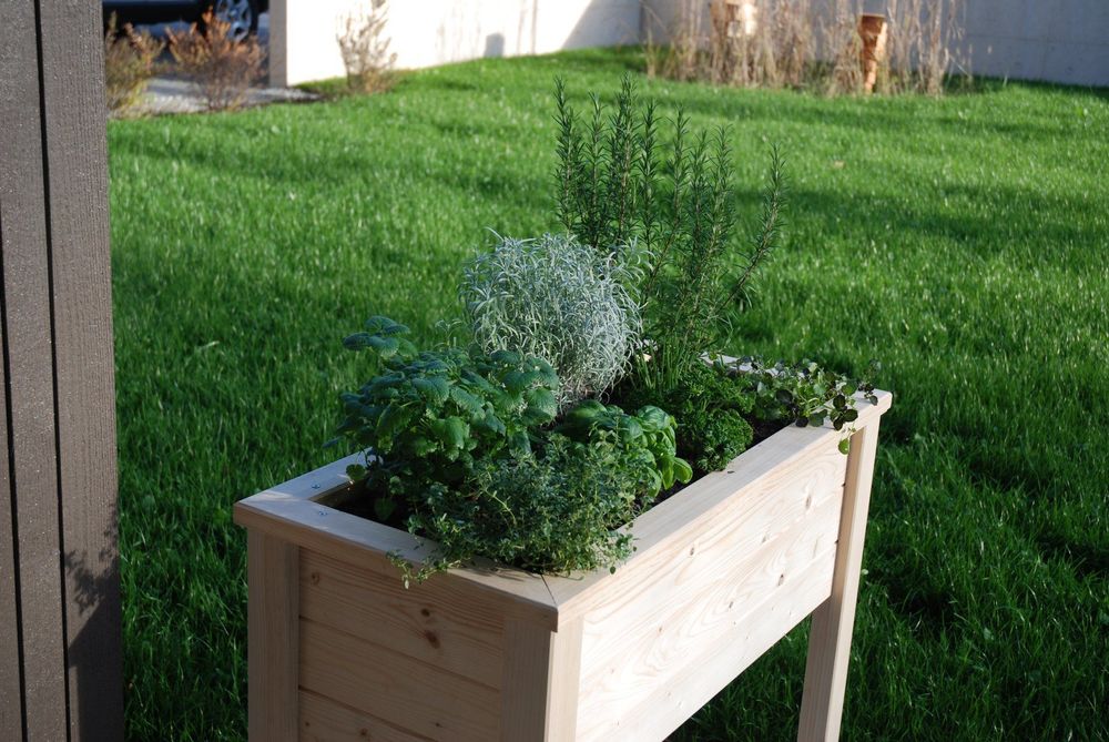KräuterHochbeet für Balkon und Terrrasse Kaufen auf Ricardo
