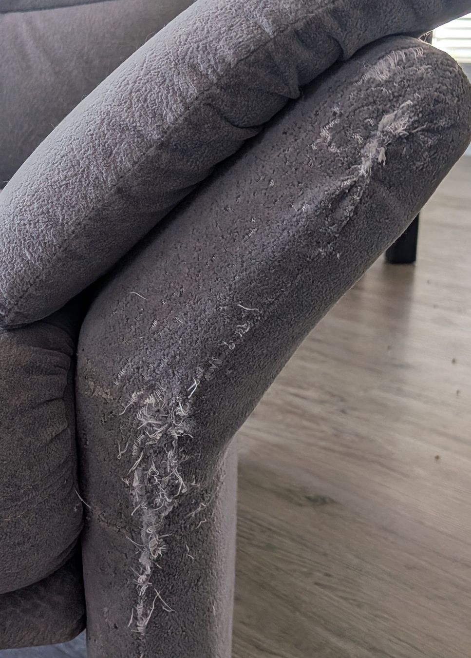 Divani: Sofa-set Grau – Usato da Wald ZH venduto da lej_c7rk 1