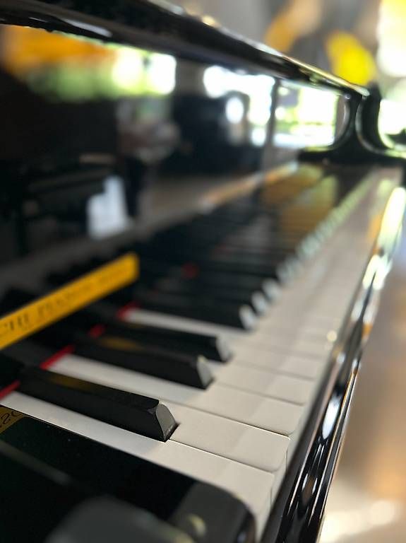 Steinway Strumenti musicali: Steinway & Sons O-180 – Usato da Bern venduto da Heutschipiano 4