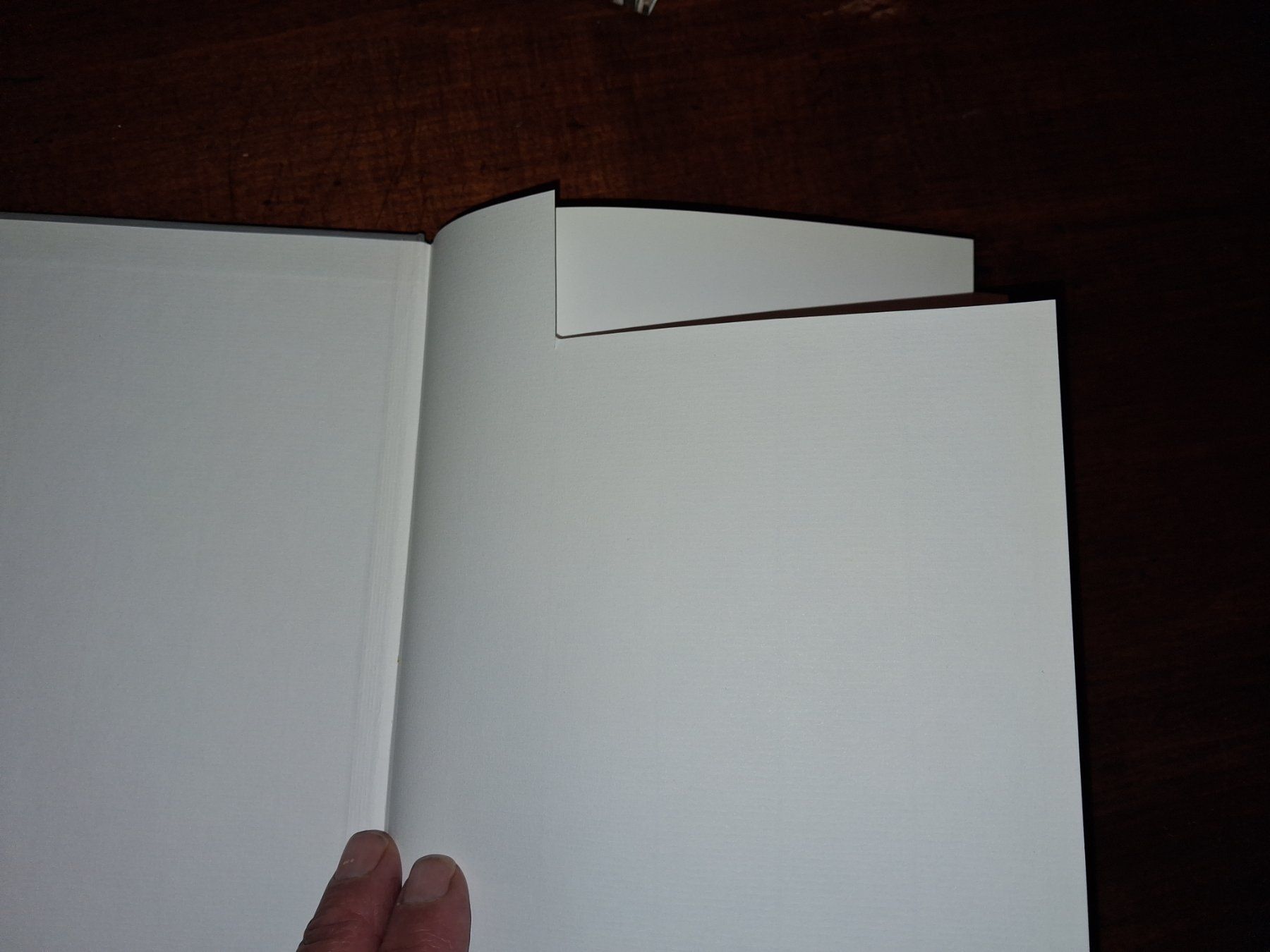 Libri: KUNSTKLASSIKER Hans Josephsohn selten – Usato da Welschenrohr venduto da Regool 5