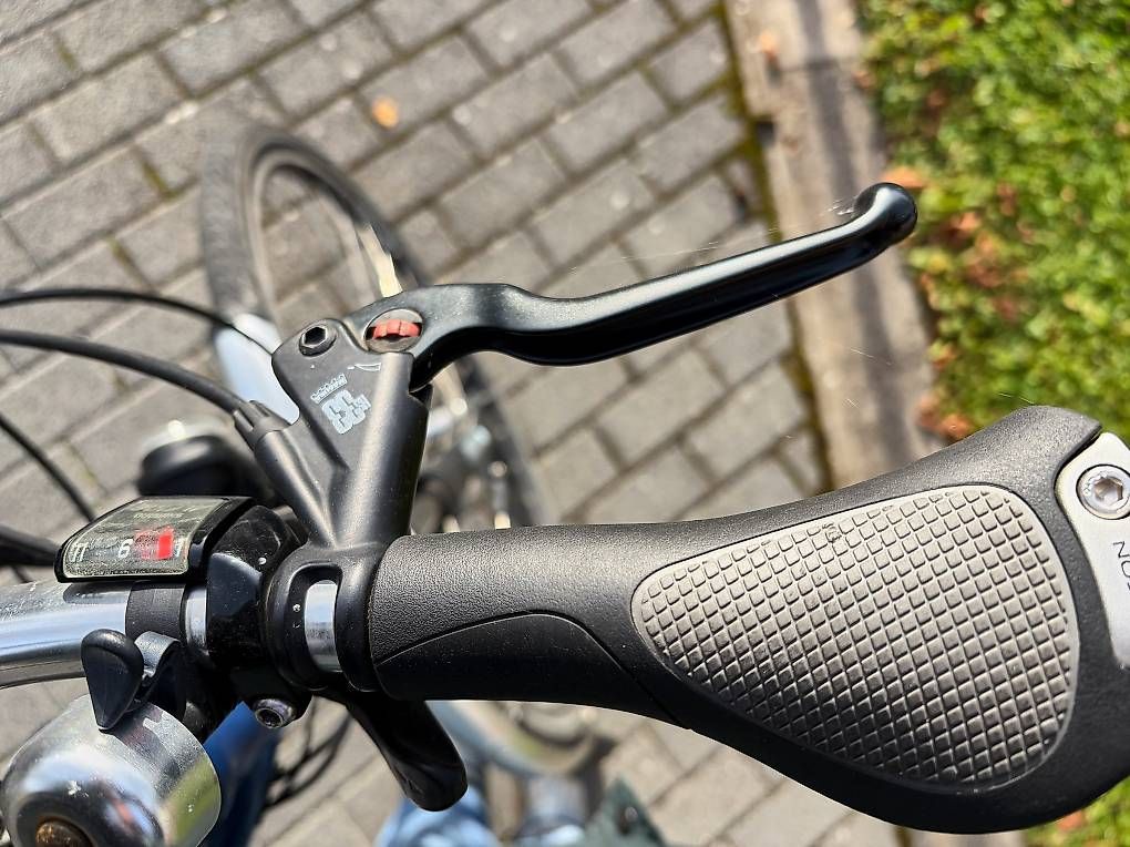 Biciclette: Occasion Flyer E-Bike mit 2 Akkus – Usato da Effingen venduto da Randb 3