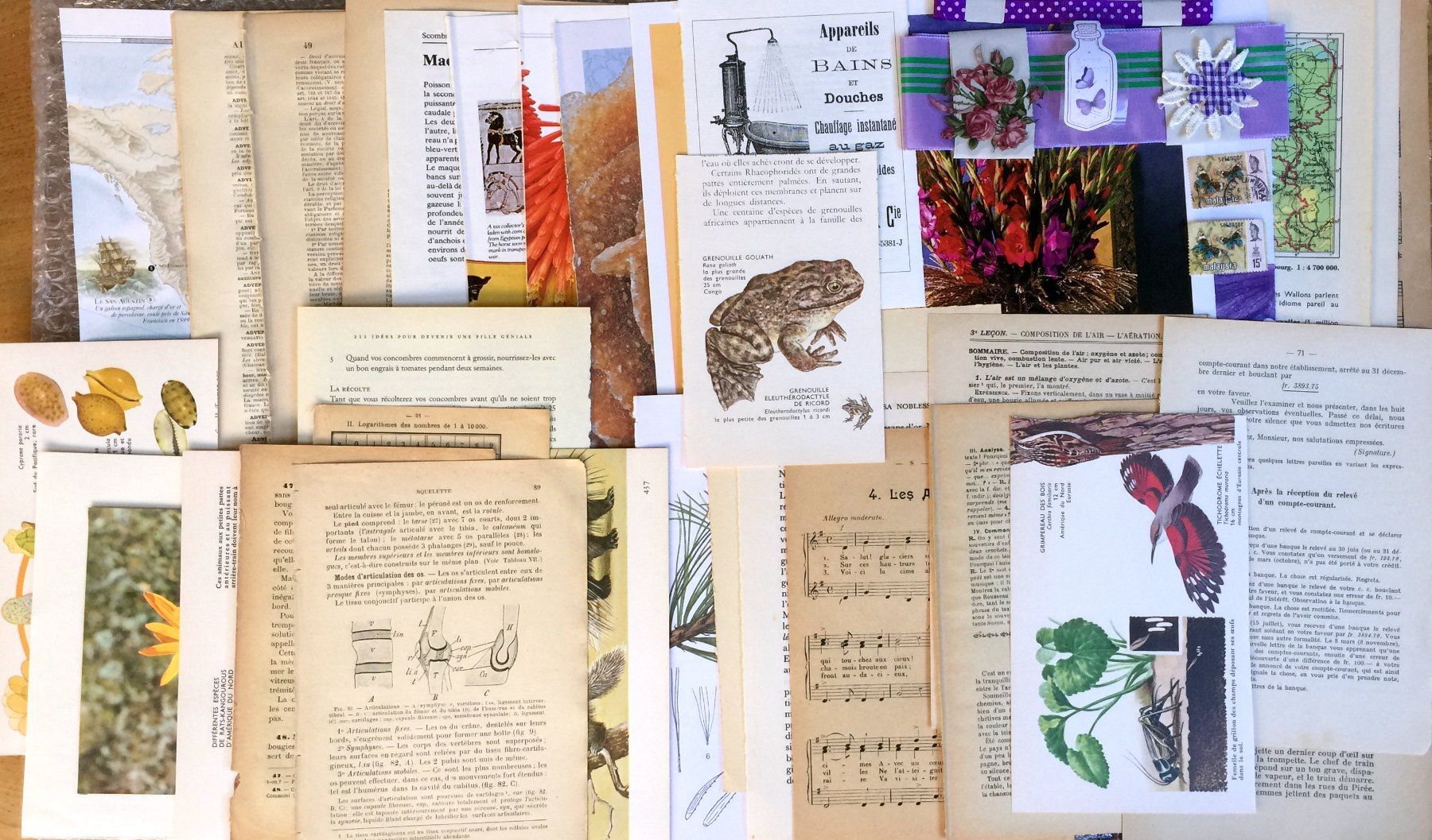 Libri: ephemera 10/papier collage bastelpapier scrapbooking+Versand – Usato da Pully venduto da websurfer1 7