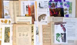 ephemera 10/papier collage bastelpapier scrapbooking+Versand