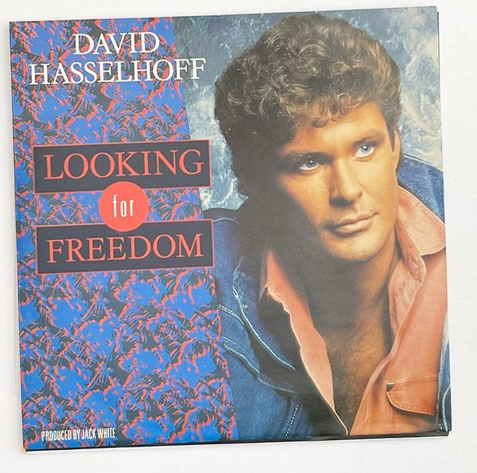Dischi in vinile: Single: DAVID HASSELHOFF - Looking For Freedom (Pop Rock) – Nuovo (secondo la descrizione) da Frenkendorf venduto da Yard-Sale-2000