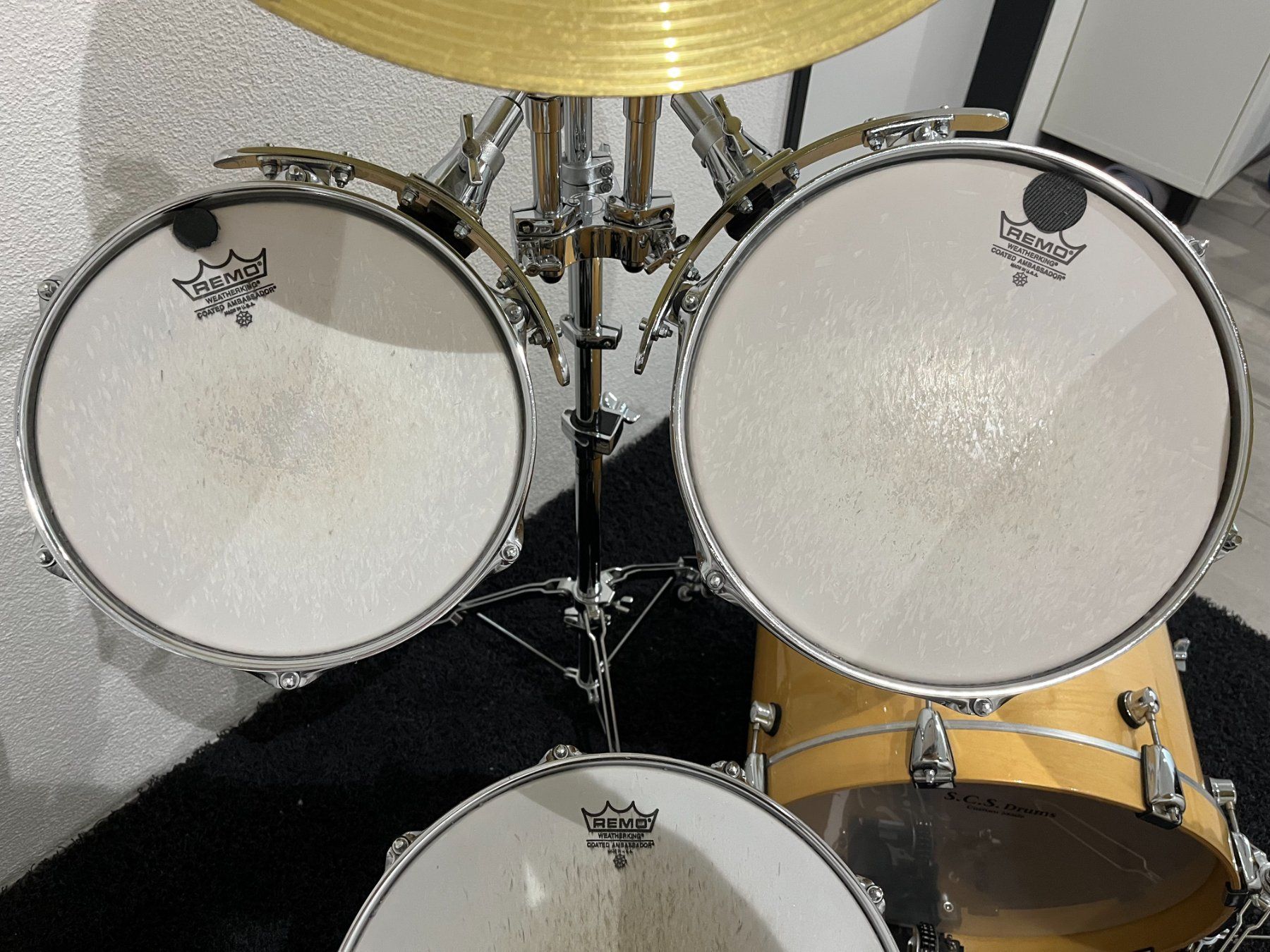 Strumenti musicali: S.C.S. custom swiss made Schlagzeug – Usato da Rain venduto da Smidi0 5