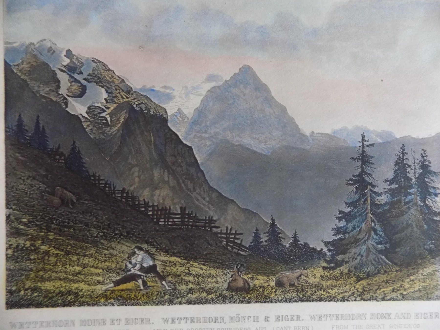 Incisioni: Wetterhorn Mönch Eiger koloriert – Usato da Risch venduto da Antikfee 2