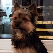 Profile image of mara666hund