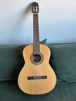 Gitarre Santos Martinez SM44 - Ideales Einsteigermodell