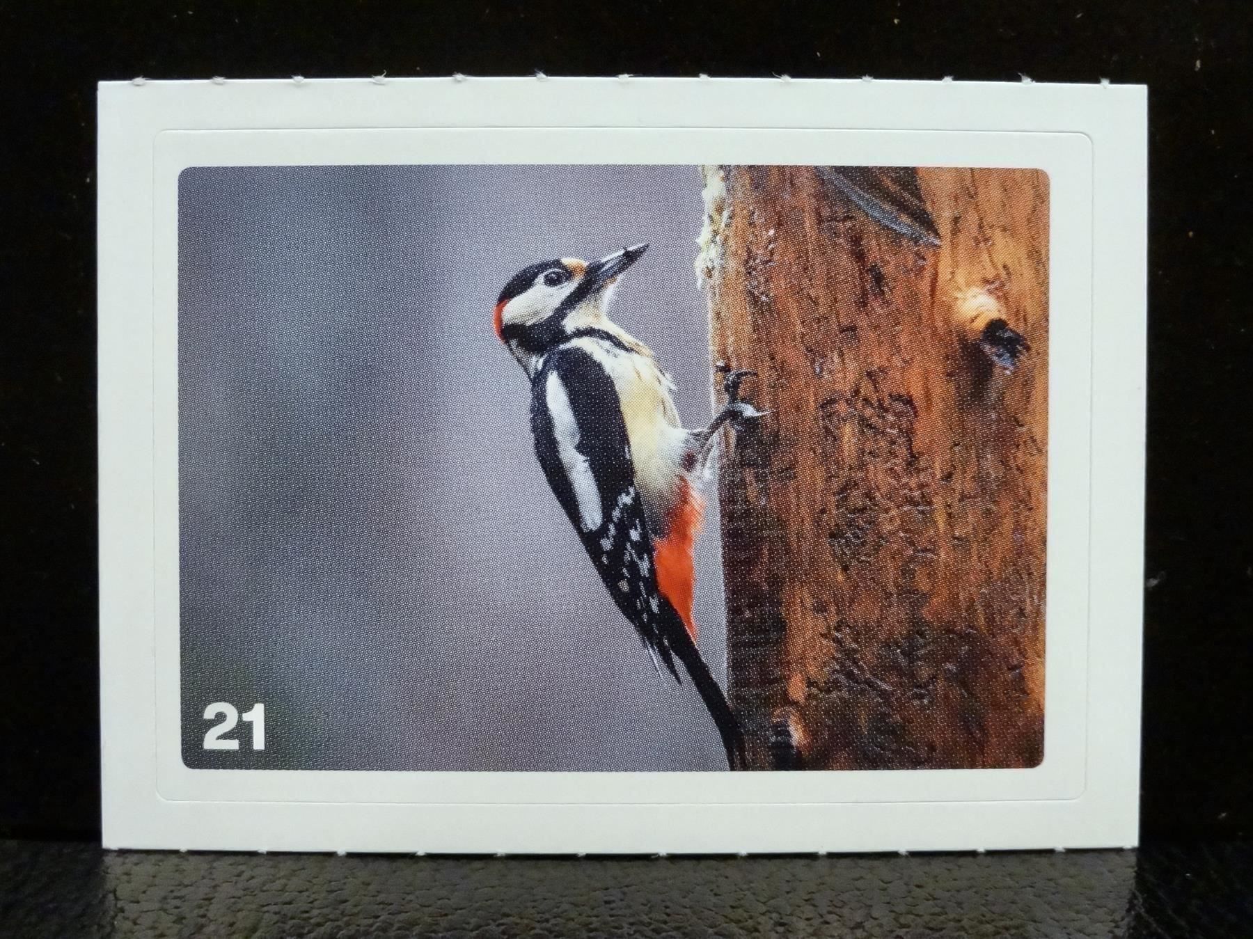 Migros Carte collezionabili: MIGROS MANIA Nature Detectives Nr. 21 – Nuovo e nell'imballaggio originale da Kerzers venduto da zimmergruen