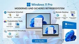Windows 11 Pro l Multilingual