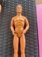 Ken Doll shirtless, brown hair, good condition