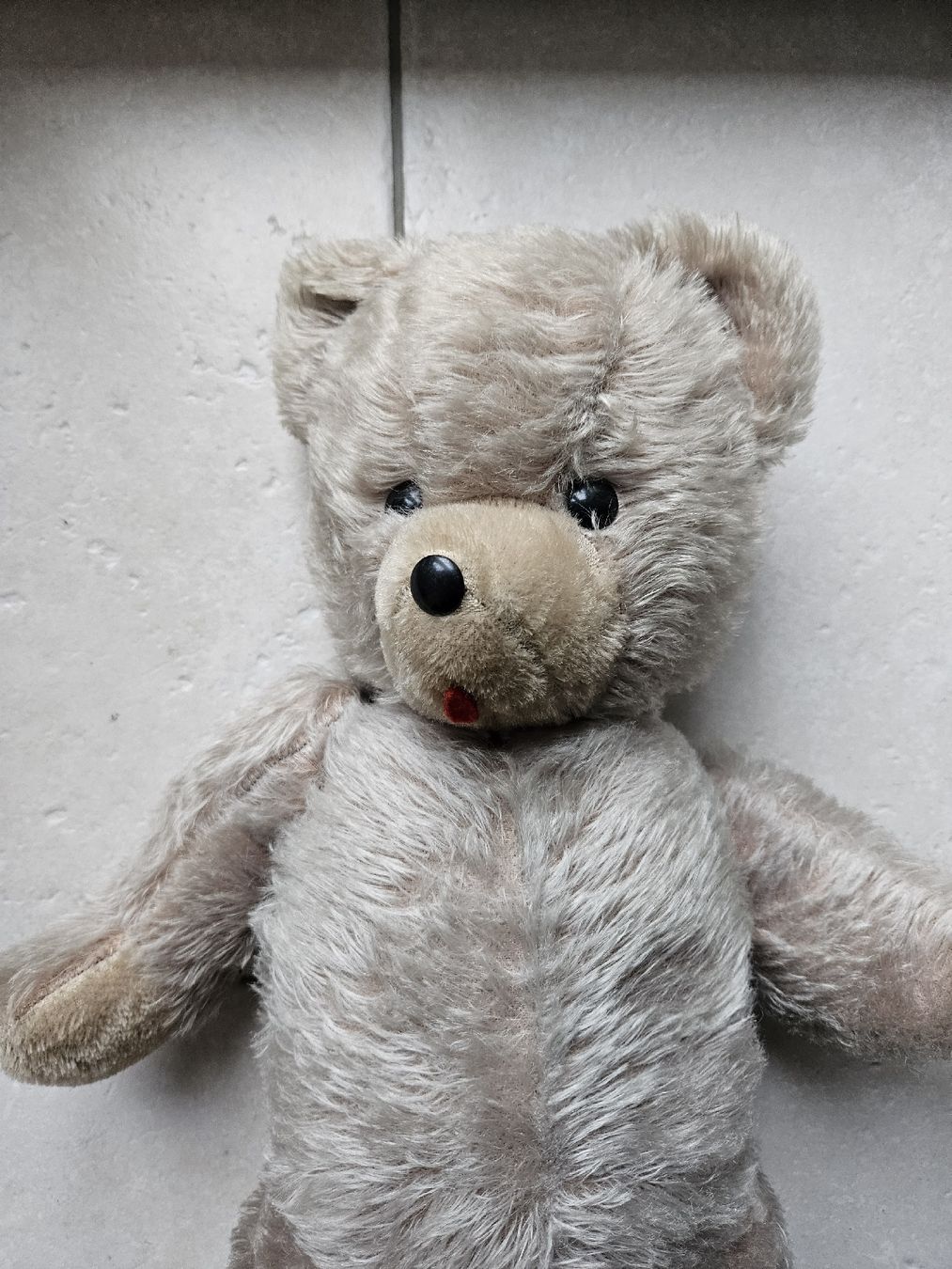 Giocattoli: Teddybär antik  - Bär 60cm – Usato da Haslen GL venduto da Sandra40 4