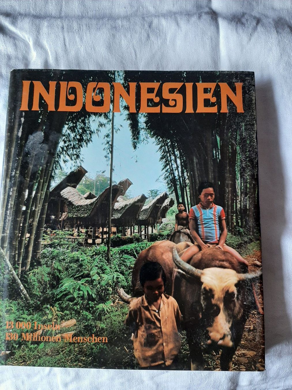 Libri: Indonesien, Bildband – Nuovo (secondo la descrizione) da Basel venduto da kouki51
