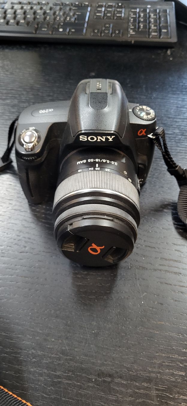 Sony Fotocamera: Canon EOS 300 & Sony a290 mit obiektiven – Usato da Figino venduto da mayam63 2