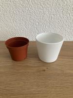 Cache-pot blanc IKEA pour petites plantes 🌱