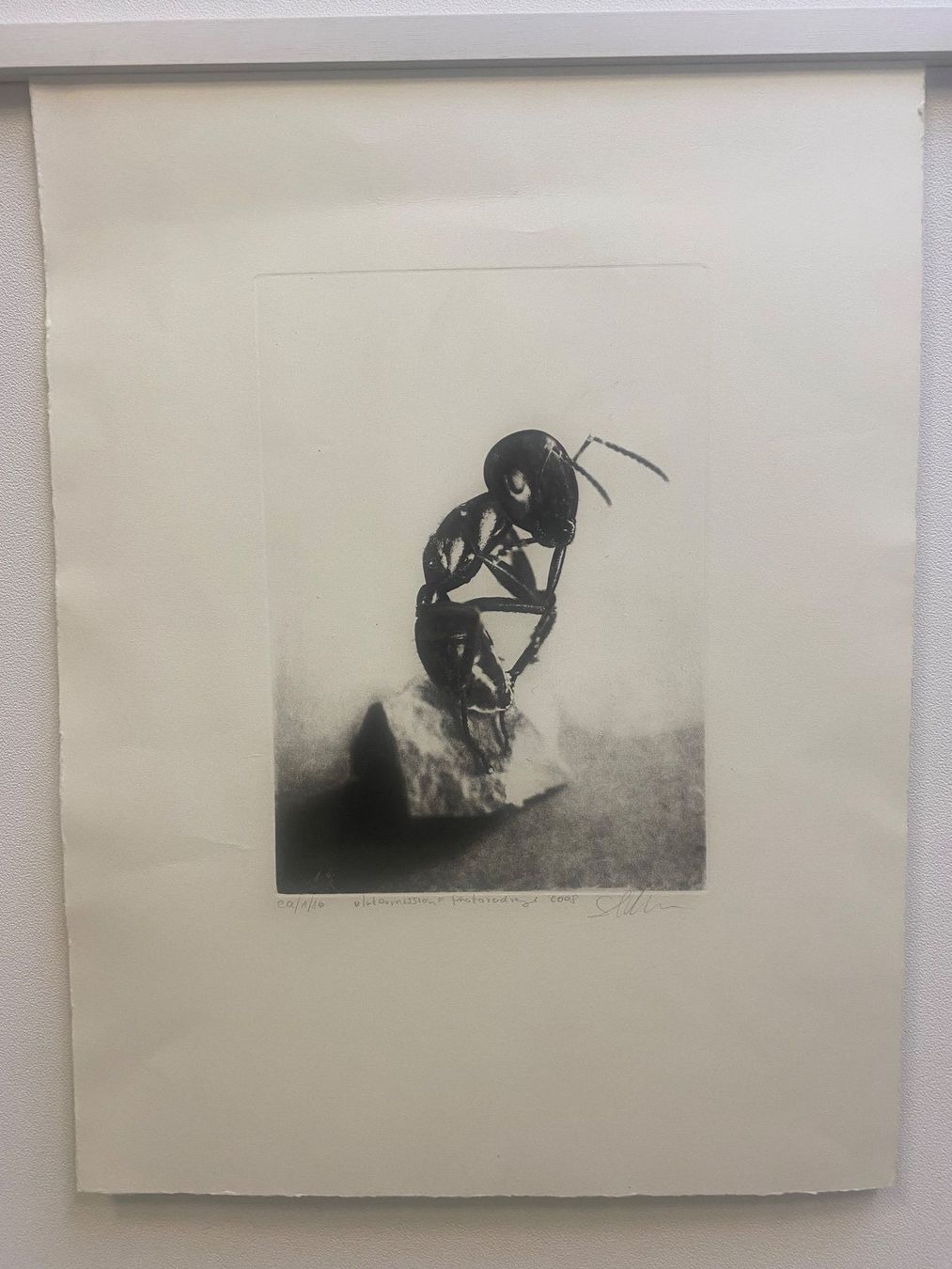 Grafica & Litografie: Sandro PORCU geb. 1966  Lithtographie – Usato da Brüttisellen venduto da Betty_1972 3
