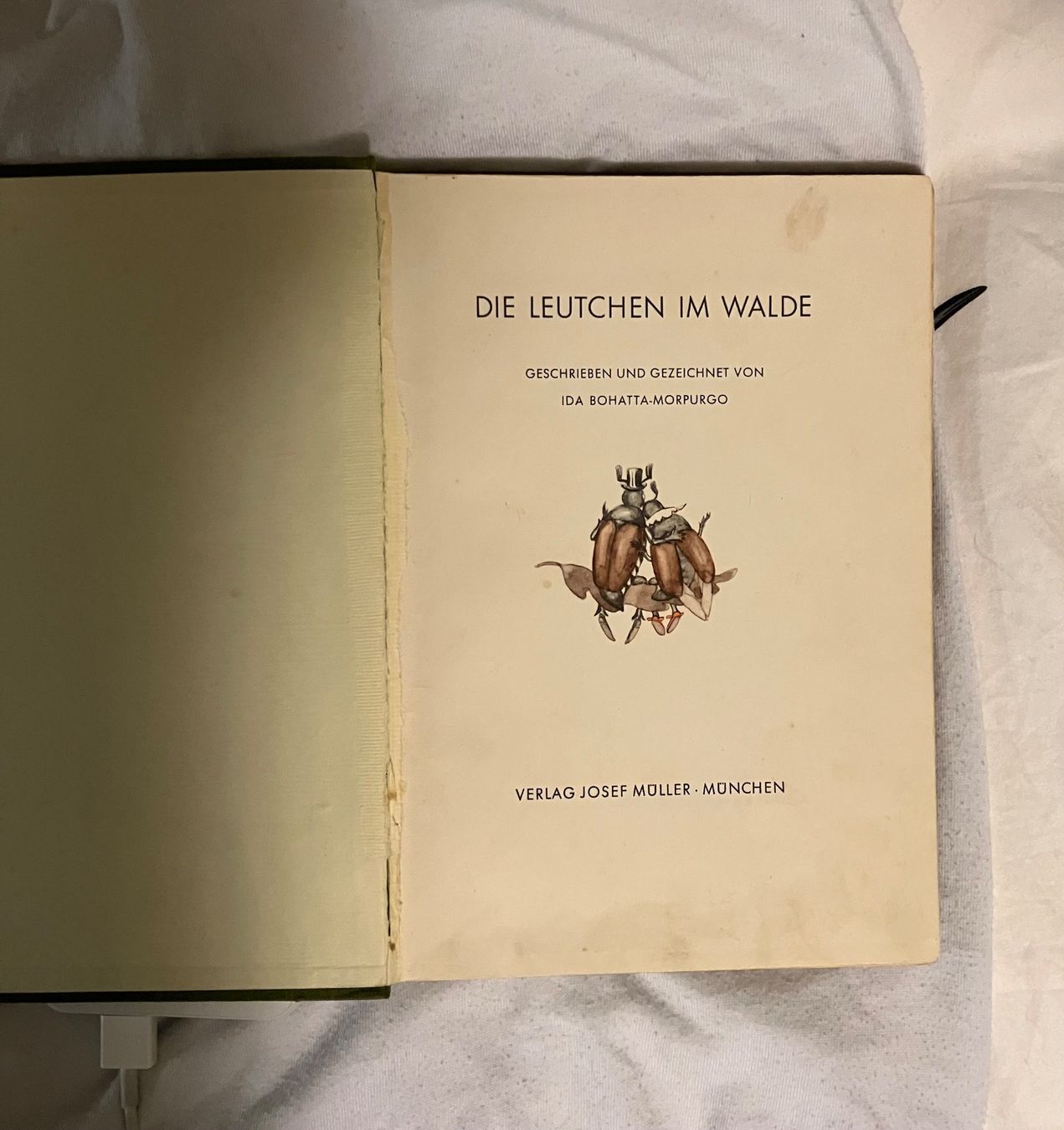 Libri: Antikes Kinderbuch "Die Leutchen im Walde", illustriert v... – Usato da MURALTO venduto da Kollektorin