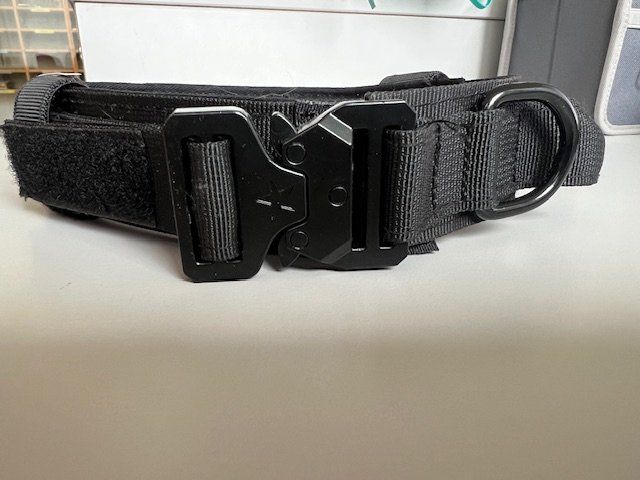 Guinzagli & Collari: Hundehalsband neu aus Nylon – Nuovo (secondo la descrizione) da Winterthur venduto da la_panna 2