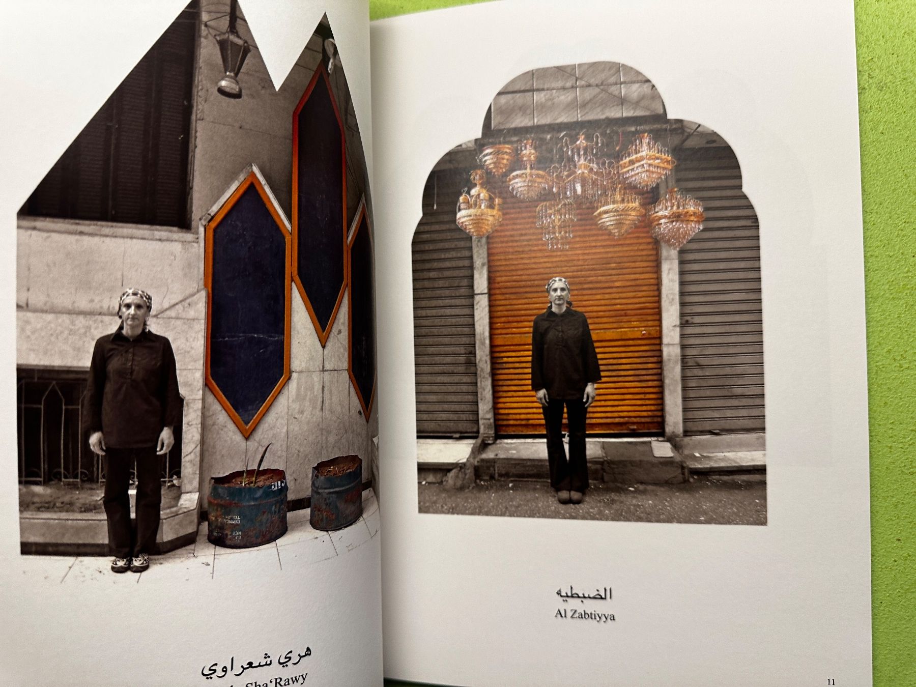 Libri: Chalet 5: Ornamental Angefressen – Usato da Zürich venduto da allp 5