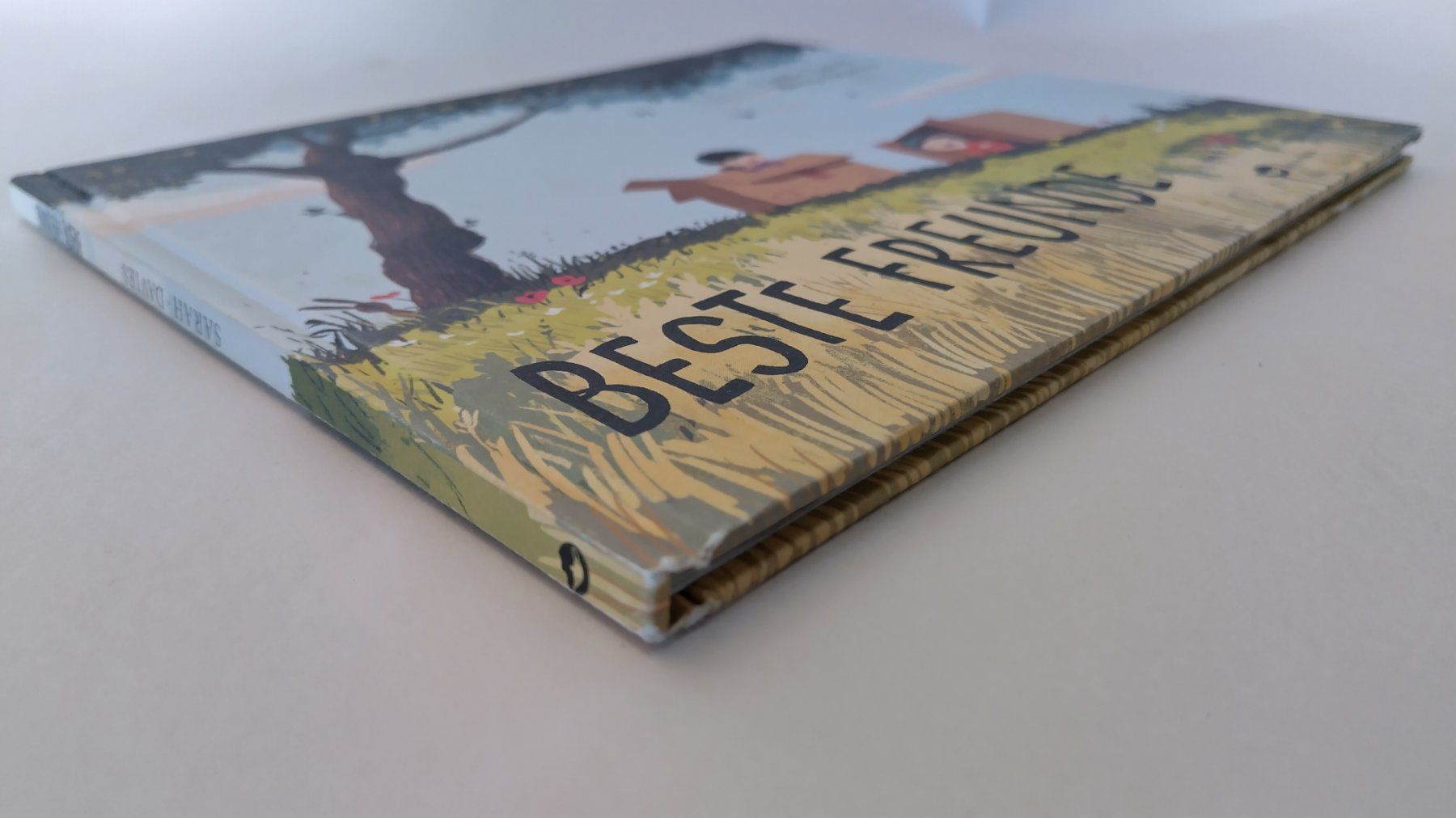 Libri: Beste Freunde / Bilderbuch 2015 ab Fr. 8.- – Usato da Bellach venduto da JingleJerry 1