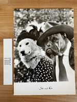 AK von Hunde Paar