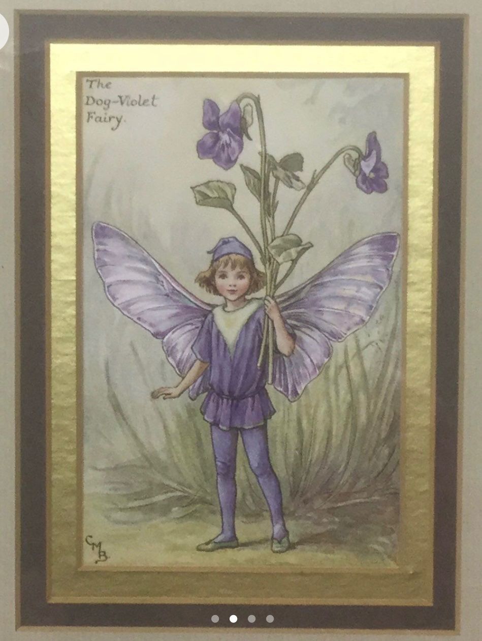 Dipinti: 2 Cicely Mary Barker, Flower Fairies – Usato da Zürich venduto da -Panoptikum- 5