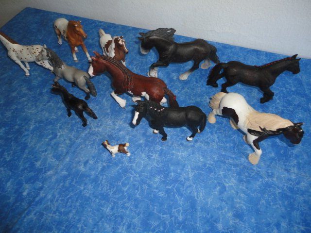 Schleich Spielzeuge: SCHLEICH PFERDE 11X – Neu (gemäss Beschreibung) aus Teufen AR von Donschabl 6