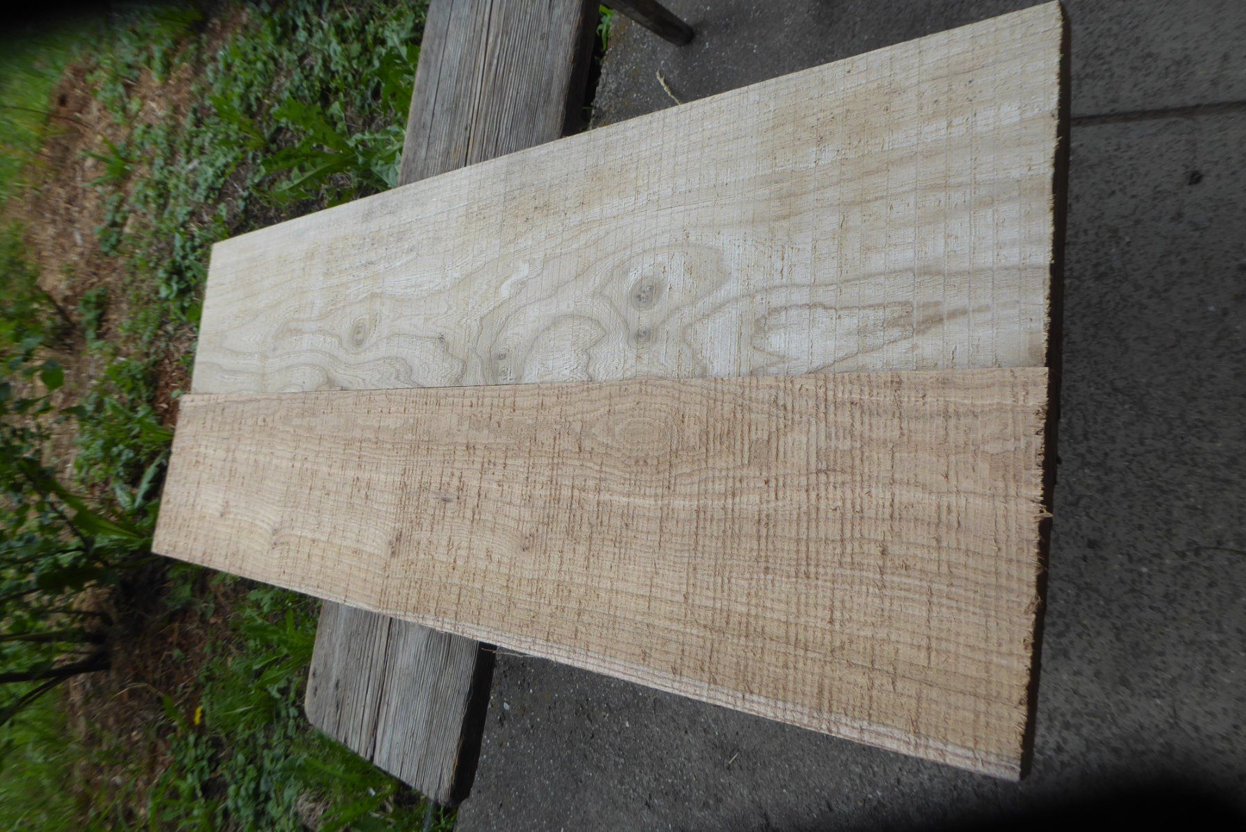 Articoli in legno: Ulmenbrettli 2 cm – Nuovo (secondo la descrizione) da Sumiswald venduto da Hennri1 1