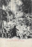 Luzern Gletschergarten 1905