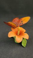 Oranger Porzellan-Schmetterling auf Blüte