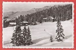 Crans sur Sierre - Hôtel Pas de l'Ours - 1954