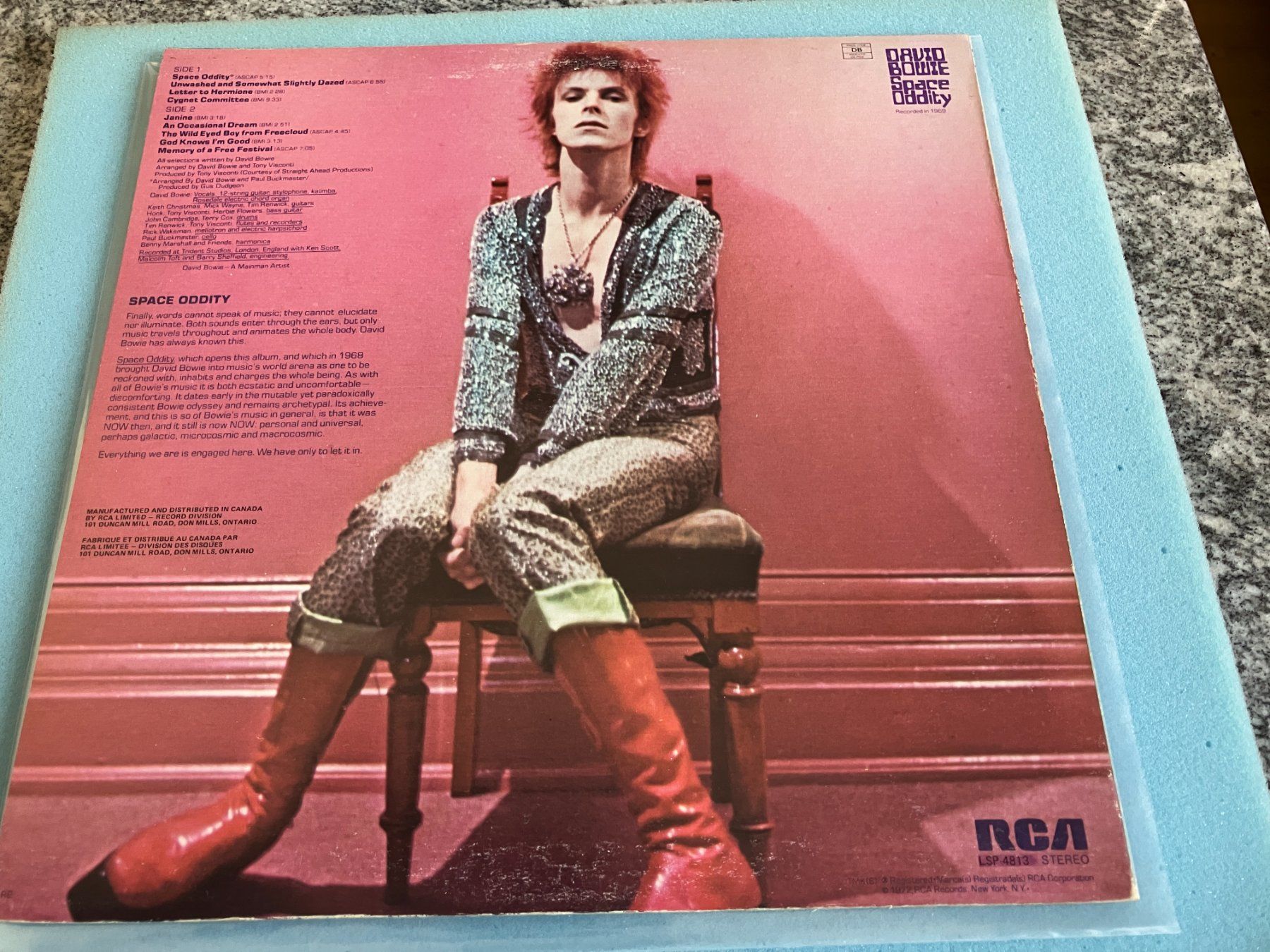Dischi in vinile: David Bowie – Usato da Aarwangen venduto da Jukebox3 2