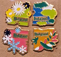 F941  4er Pin Set Bliib gsund 4 Jahresz.