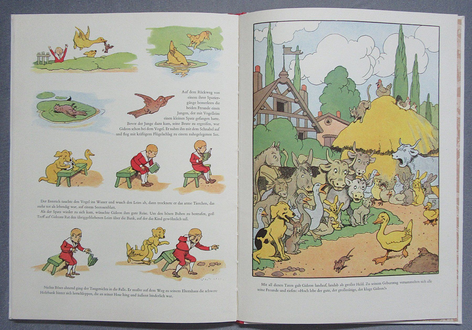Libri: Gideon im Wald - Ein Diogenes Kinderbuch – Usato da Auenstein venduto da Padabimbim 8