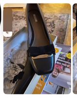GEOX Elegant shoes, Size 39