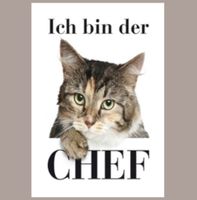🔥 XXL ICH BIN DER CHEF Katzen Blechschild 🤎 40x30cm OVP 🔥