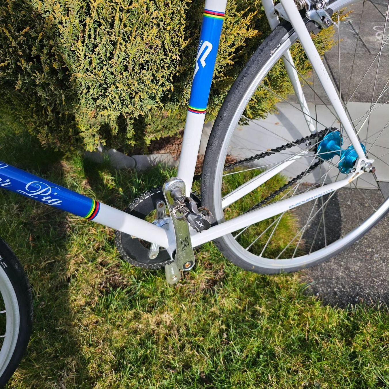Vélos: Fixie Velo – D'occasion à Romanshorn par TigerKerstin 1