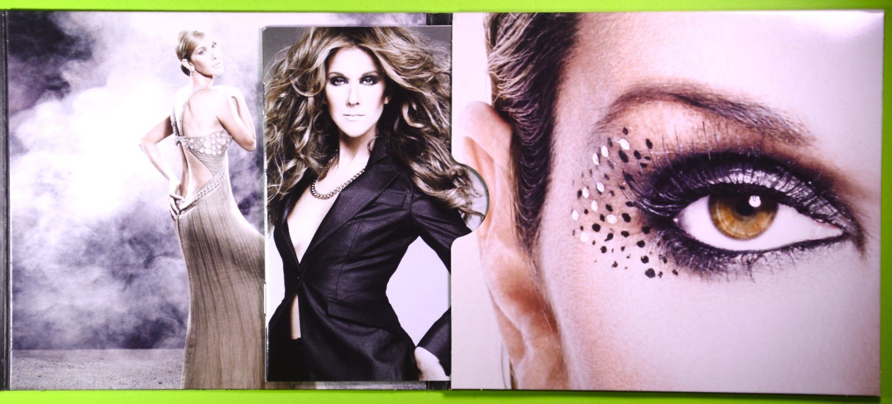 CDs: CELINE DION / TAKING CHANCES /MIT BOOKLET MIT DEN SONGTEXTEN – Neu (gemäss Beschreibung) aus Luzern von piro12 3