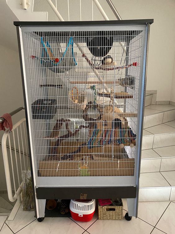 Rattenkafig Fur 2 Ratten