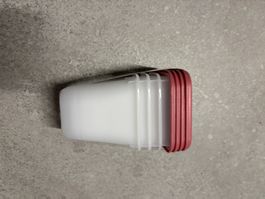 Lot de 4 boîtes de congélation Rotho Domino 0.22L, rose neuf