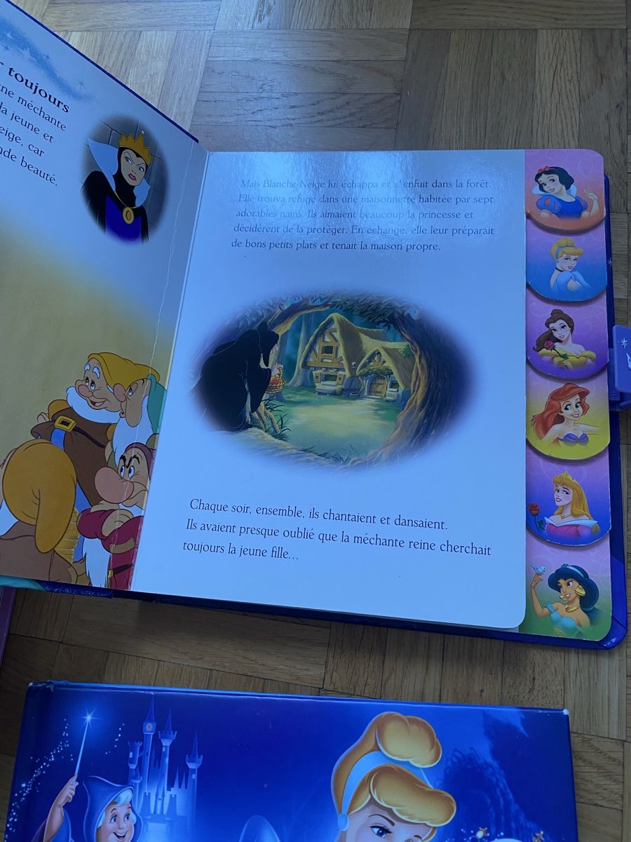 Libri: Livres Disney Princesses – Usato da Givisiez venduto da dor_xb9k 2