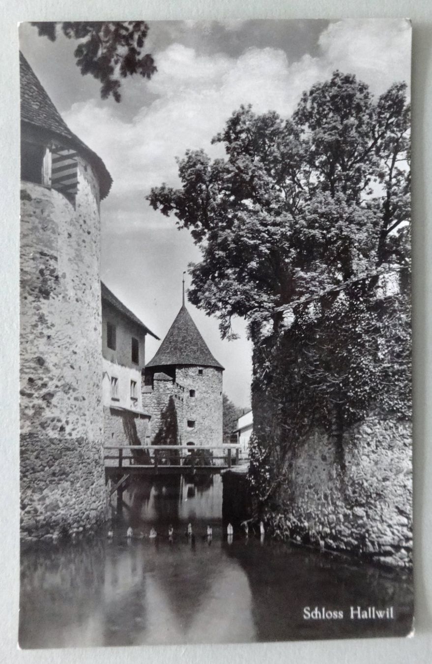 Ansichtskarten: Schloss Hallwil – Gebraucht aus Fétigny von Billy2miny