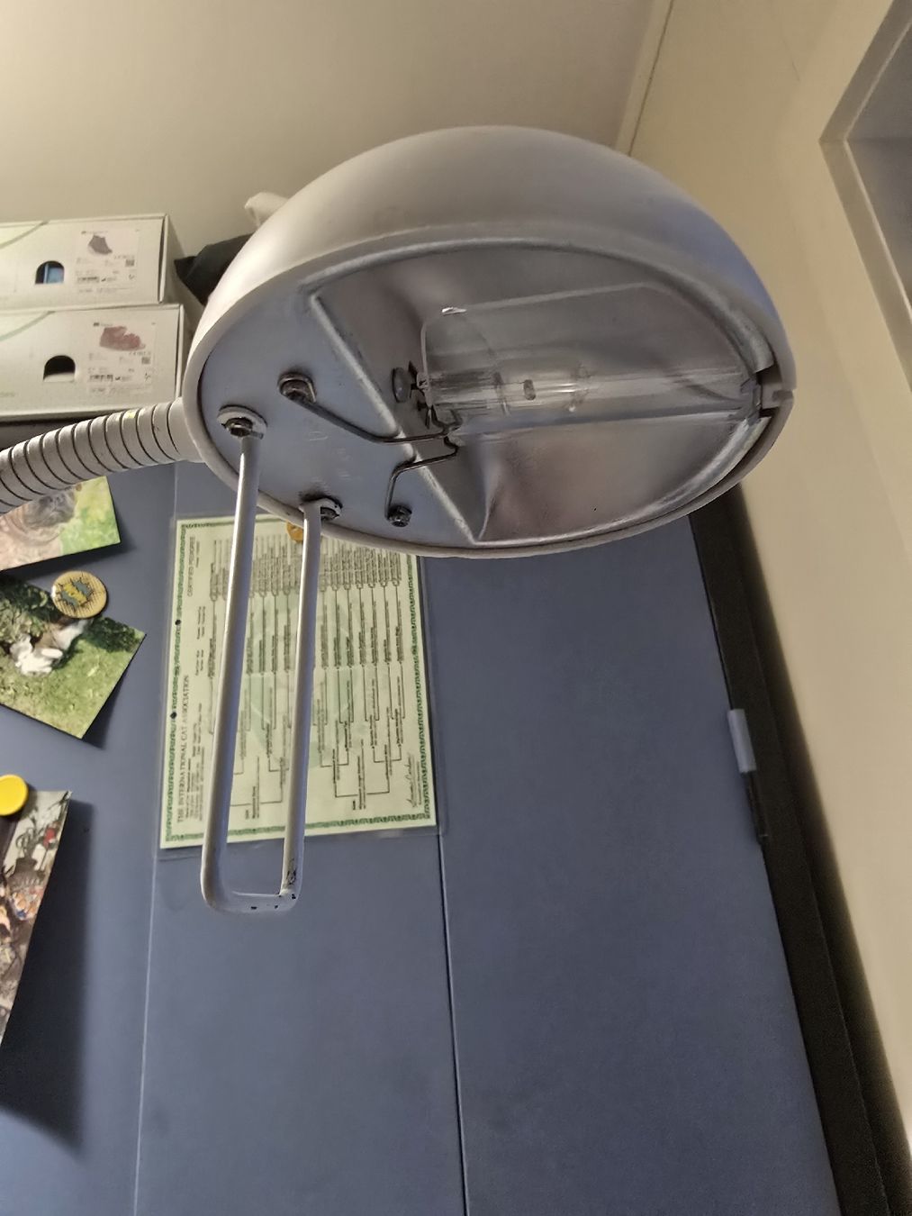 Lampade: 70-80er kult Lampe – Usato da Biel/Bienne venduto da alexriveros2 2
