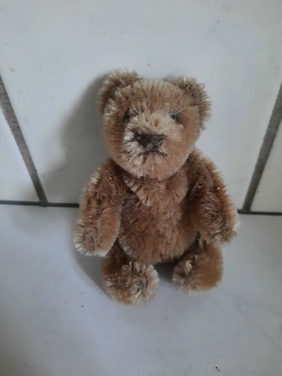 Ours ancien de collection Pintel début siècle dernier no