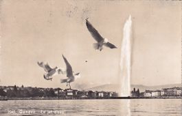 Genève Le jet d'eau