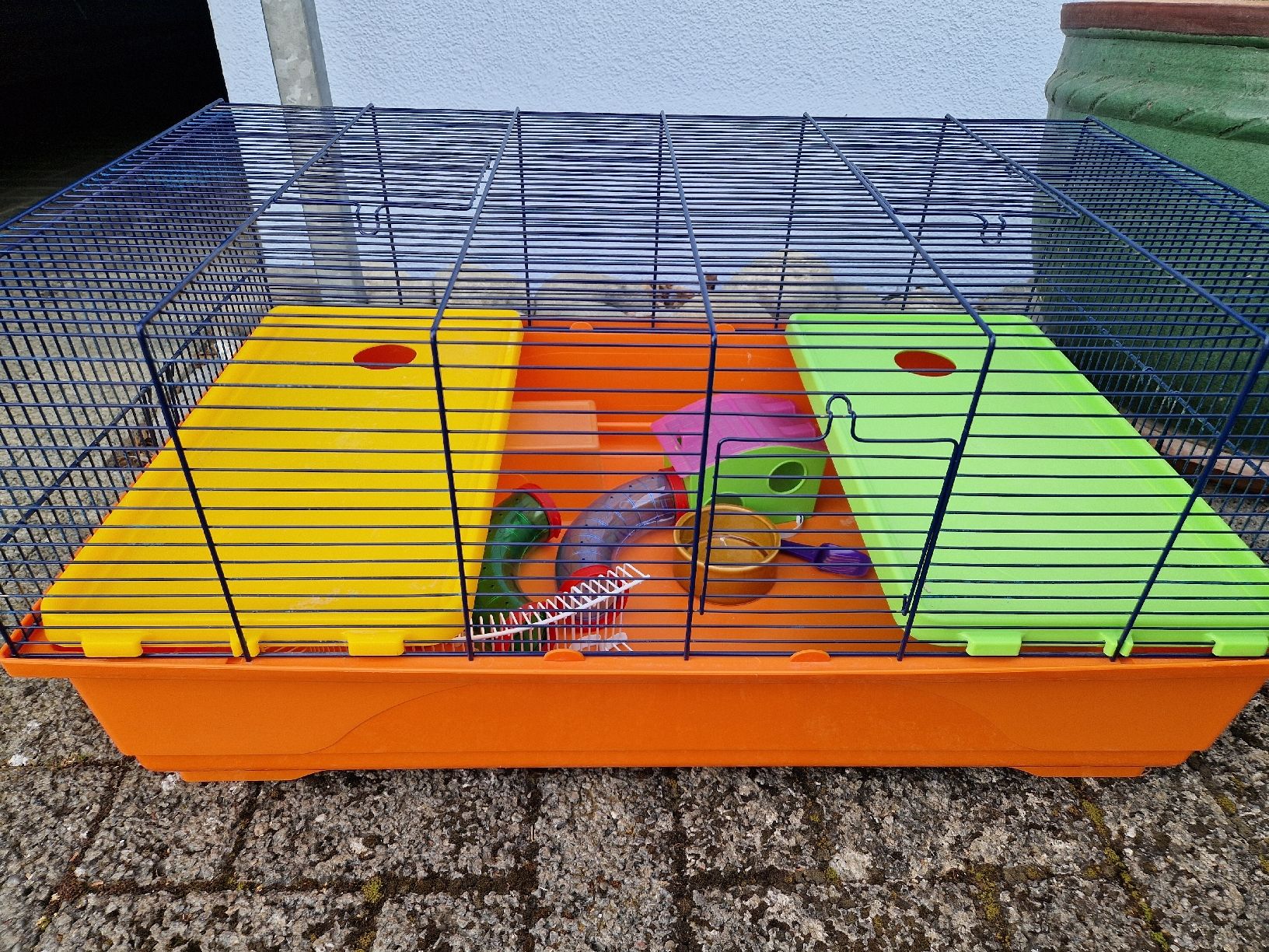 Gabbie, trasporto & Sicurezza: Hamstergehege – Usato da Beinwil am See venduto da LauRii_x33 1